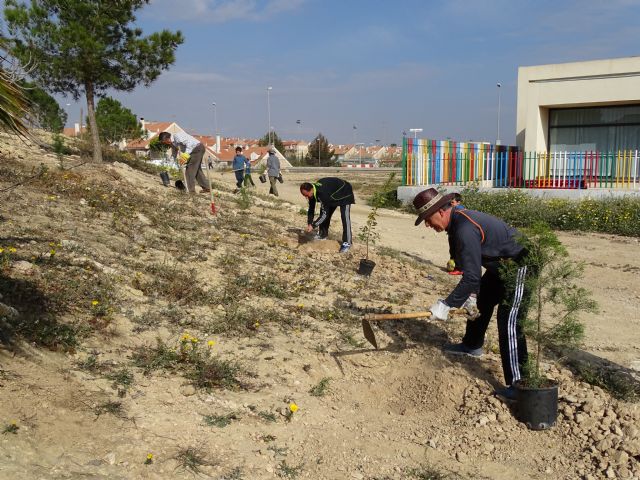 Un nuevo bosquete urbano de sabina mora - 1, Foto 1