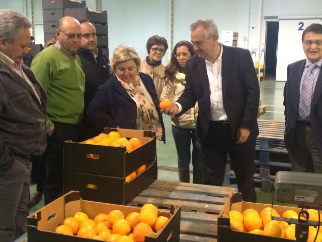 González Tovar aboga por soluciones a medio plazo  que den autonomía a nuestra agricultura para que el beneficio repercuta en los agricultores - 1, Foto 1