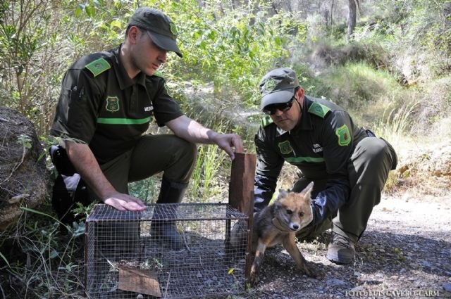 Los Agentes Medioambientales realizaron más de 35.000 actuaciones de protección y conservación de la naturaleza en 2014 - 1, Foto 1