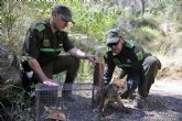 Los Agentes Medioambientales realizaron ms de 35.000 actuaciones de proteccin y conservacin de la naturaleza en 2014