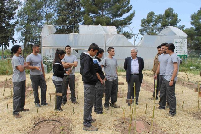 El alcalde visita a los alumnos y alumnas de los tres cursos que está desarrollando el SEF en Jumilla - 5, Foto 5