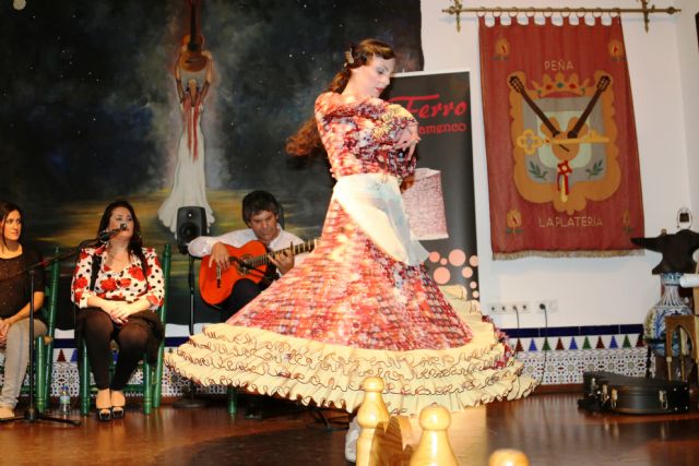 Granada recibira la medalla de oro del frestival de lo ferro por su defensa del flamenco - 3, Foto 3