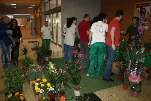 Astrapace vende en la Consejería de Agricultura las plantas de temporada cultivadas por sus usuarios - 1, Foto 1