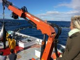 Murcia lidera la producción y comercialización de atún rojo en España