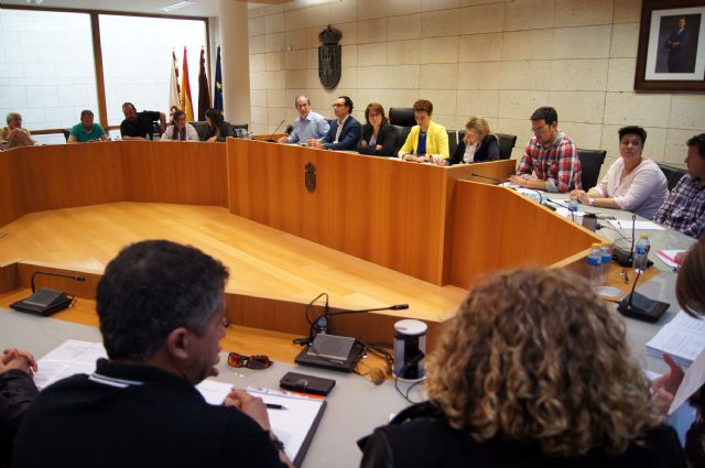 El Pleno del Ayuntamiento aprueba el Plan de Acción para la Energía sostenible - 1, Foto 1