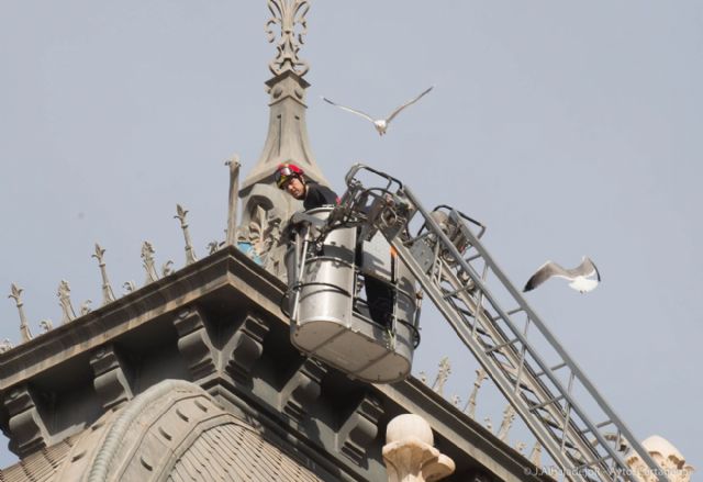 Los bomberos colaboran en la campaña de control de gaviotas - 4, Foto 4