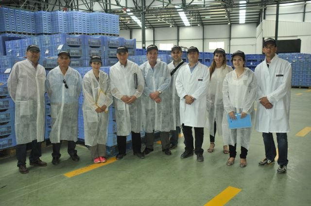 Una delegación oficial de EEUU visita la Región para comprobar el protocolo establecido para la exportación de albaricoque a este país - 1, Foto 1