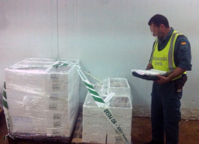 La Guardia Civil decomisa 385 kilos de pescado con etiquetado irregular y de talla inferior la mínima permitida - 3, Foto 3