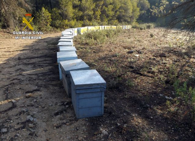 La Guardia Civil arresta a 14  personas por robos en fincas agrícolas y ganaderas de la Región - 1, Foto 1