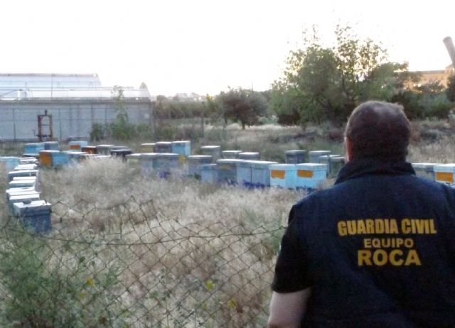 La Guardia Civil arresta a 14  personas por robos en fincas agrícolas y ganaderas de la Región - 2, Foto 2