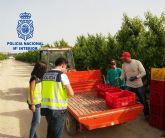 Detenidos por suplantar la identidad y ejercer la actividad de trabajadores titulares