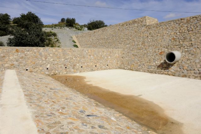 La CHS adapta los diques de la cabecera de Nogalte y el Guadalentín para proteger a los anfibios de la zona - 1, Foto 1