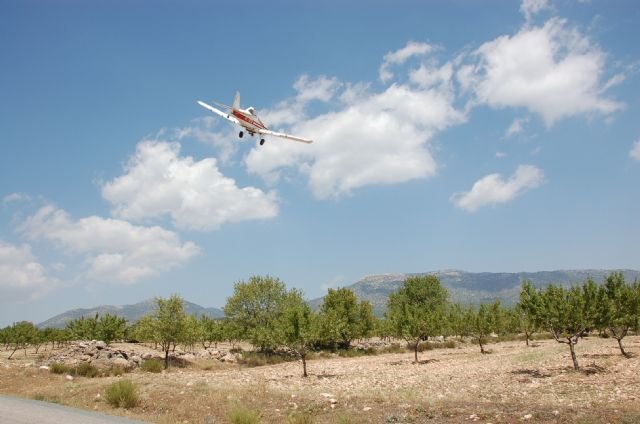 Agricultura realiza tratamientos aéreos para el control de una plaga de langosta mediterránea en el paraje de La Almacolla - 1, Foto 1