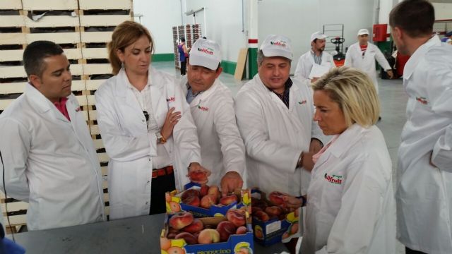 Martínez-Cachá afirma que el sector de cítricos regional es emblemático y destaca su calidad como fortaleza en la comercialización y exportación - 1, Foto 1