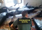 La Guardia Civil decomisa en aguas de San Pedro del Pinatar ocho atunes rojos capturados ilcitamente