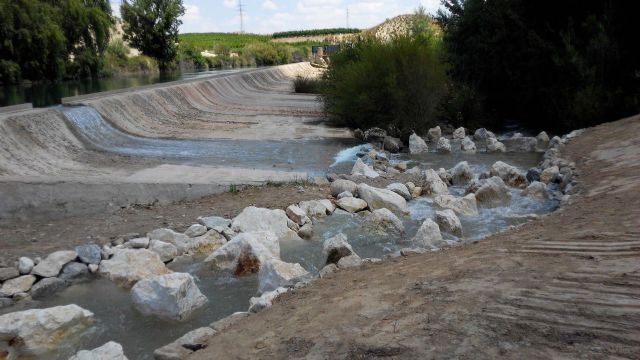 La CHS construye las primeras escalas para que los peces puedan migrar por el Segura - 1, Foto 1