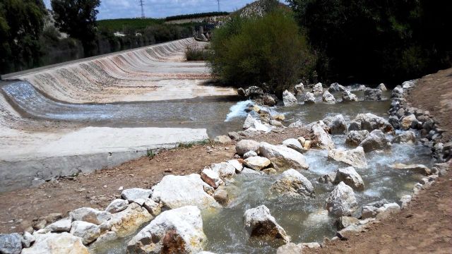 La CHS construye las primeras escalas para que los peces puedan migrar por el Segura - 2, Foto 2