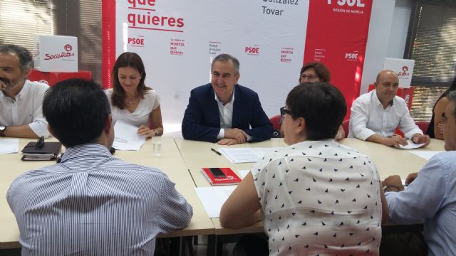 El Consejo de Alcaldes socialistas acuerda 5 medidas sociales y de empleo para impulsar de inmediato desde los Ayuntamientos - 2, Foto 2