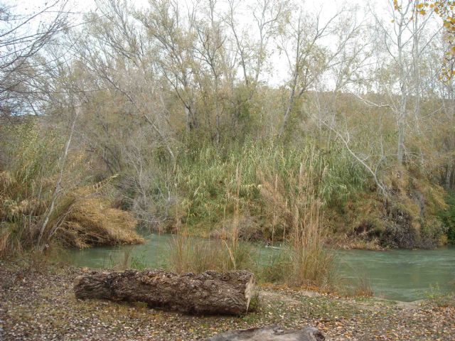 La CHS implica a propietarios y usuarios en el cuidado del ecosistema de la Ribera de Cañaverosa - 1, Foto 1