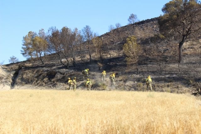 La Comunidad baja al Nivel 0 el Plan Infomur tras quedar controlado el incendio forestal en el Puerto del Garruchal - 2, Foto 2