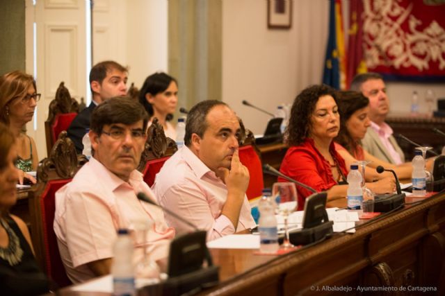 El pleno se organiza creando comisiones y determinando sueldos - 3, Foto 3