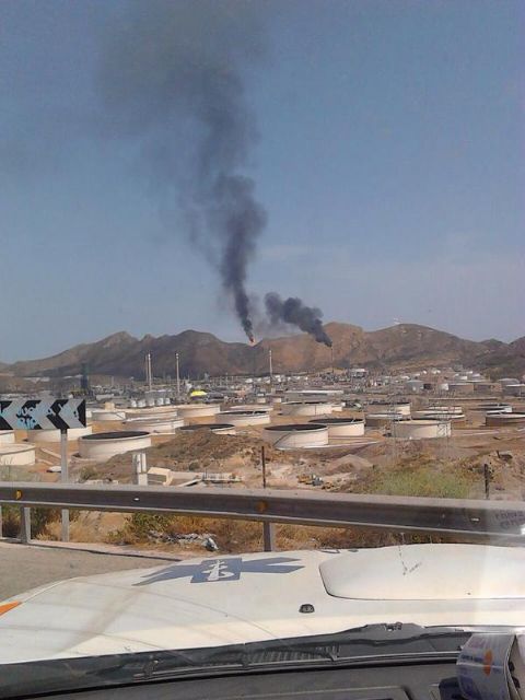 El concejal de Medio Ambiente acudió ayer a Alumbres para seguir la evolución de los humos de la Refinería - 2, Foto 2