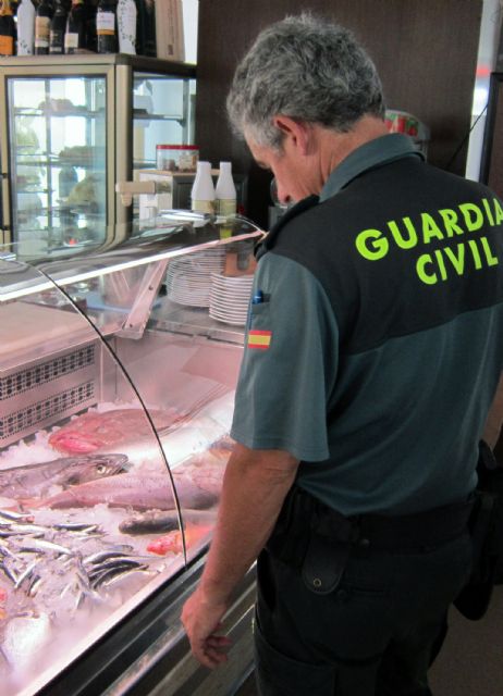 La Guardia Civil decomisa más de 70 pescados procedentes de capturas furtivas - 5, Foto 5