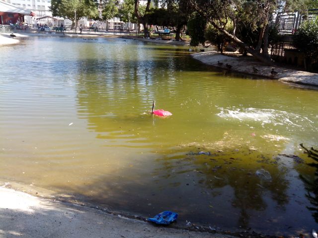 Ahora Murcia denuncia el estado insalubre del estanque del parque Fofó y pide explicaciones - 2, Foto 2