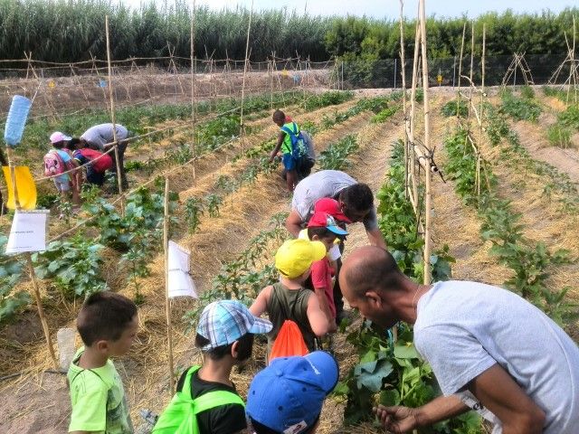 Los alumnos de la Escuela de Verano de Alguazas visitan el Huerto Ecológico del programa AgroSostenible - 2, Foto 2