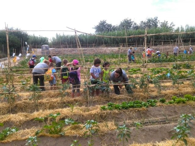 Los alumnos de la Escuela de Verano de Alguazas visitan el Huerto Ecológico del programa AgroSostenible - 3, Foto 3