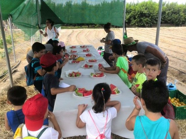 Los alumnos de la Escuela de Verano de Alguazas visitan el Huerto Ecológico del programa AgroSostenible - 4, Foto 4