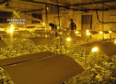 La Guardia Civil desmantela una plantacin indoor con medio millar de plantas de marihuana