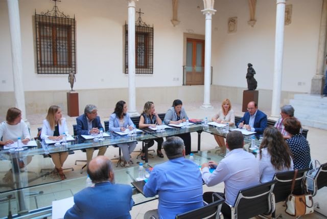 La Región Murcia es la primera comunidad de España que crea la Mesa de Apoyo al Tercer Sector - 2, Foto 2