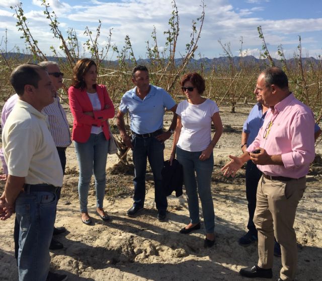 La Consejería valora en 6,5 millones los daños causados por el granizo - 1, Foto 1