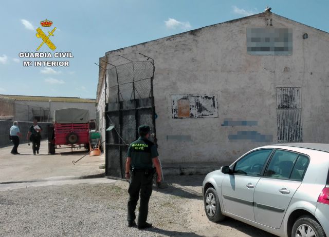 La Guardia Civil desmantela una granja clandestina en Fuente Álamo - 4, Foto 4