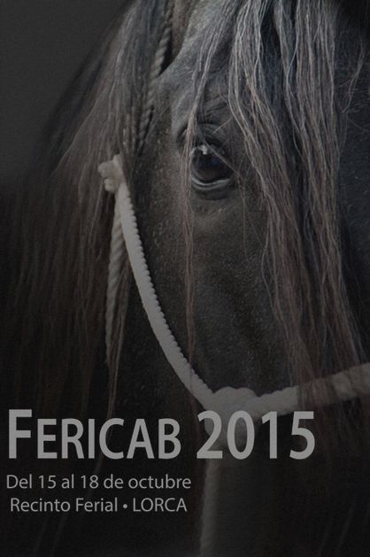 FERICAB 2015 invita a vivir Una Pasión Diferente - 1, Foto 1