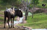 Terra Natura Murcia se suma a las actividades de la Bienvenida Universitaria