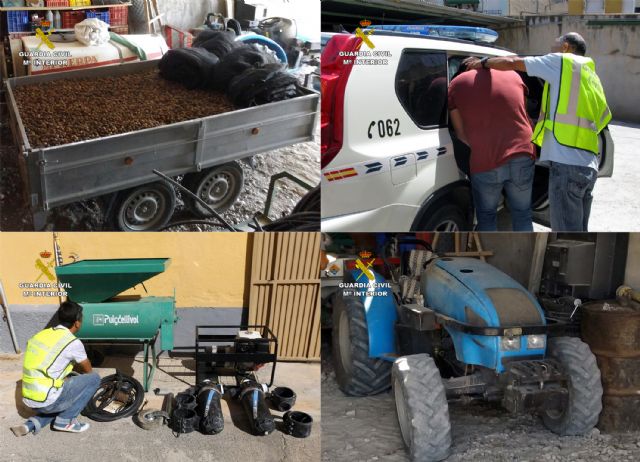 La Guardia Civil recupera 10.000 kilogramos de almendra sustraída y esclarece una decena de robos - 3, Foto 3