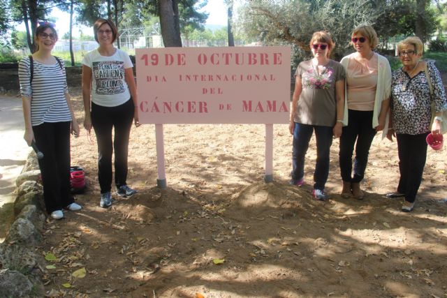 La Marcha Contra el Cáncer de Mama reunió a más de dos centenares de personas - 3, Foto 3