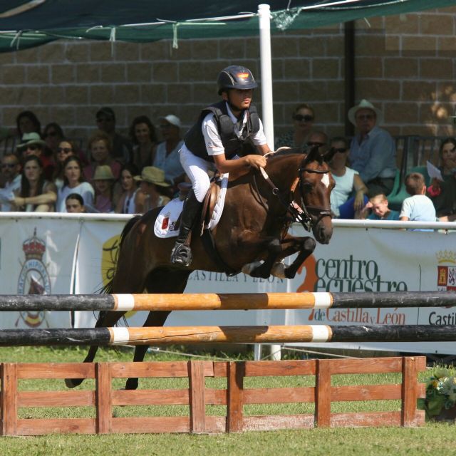 El primer concurso de salto en Poni Club Terra Natura Murcia reúne a 45 participantes - 1, Foto 1