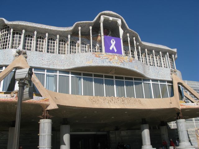 La Asamblea cuelga en su fachada un gran lazo blanco contra la violencia de género - 2, Foto 2