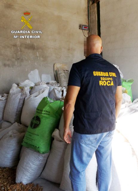 La Guardia Civil desmantela dos organizaciones criminales dedicadas a la sustracción de almendra - 2, Foto 2