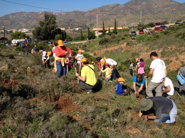 Voluntarios de SABIC plantan 450 árboles en el monte de Las Cenizas y limpian la playa de Portmán - 1, Foto 1