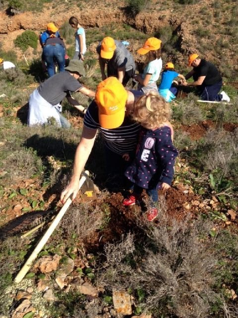 Voluntarios de SABIC plantan 450 árboles en el monte de Las Cenizas y limpian la playa de Portmán - 2, Foto 2