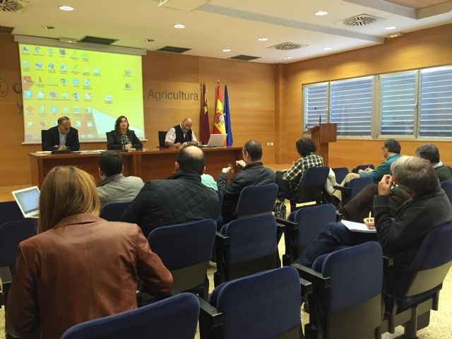 La Mesa de Sanidad Vegetal informa sobre un posible foco de enfermedad detectada en Portugal que afecta a los cítricos - 1, Foto 1