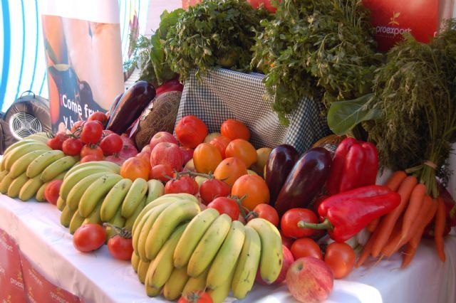 Comunidad y Proexport llevan a los colegios la   ´Frutoteca´ para concienciar a los alumnos de la importancia de comer fruta y verdura - 1, Foto 1