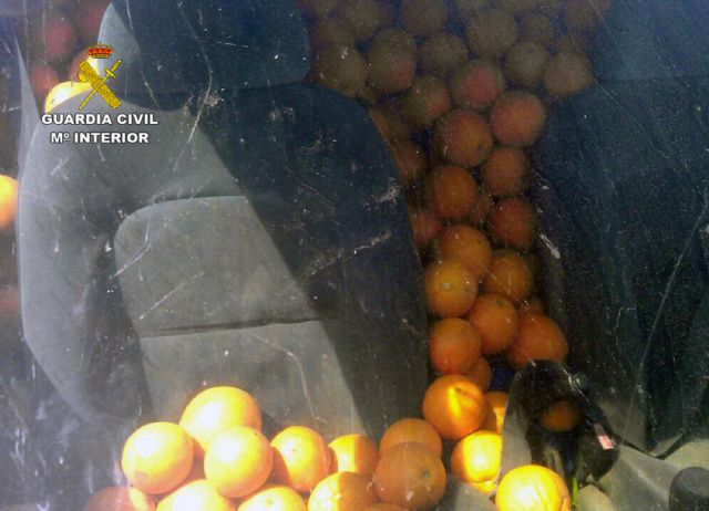 La Guardia Civil desmantela un clan familiar dedicado a la sustracción de grandes cantidades de fruta - 3, Foto 3