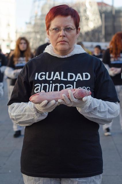 IU-Verdes considera una tomadura de pelo el borrador de proyecto de ley de defensa animal - 1, Foto 1