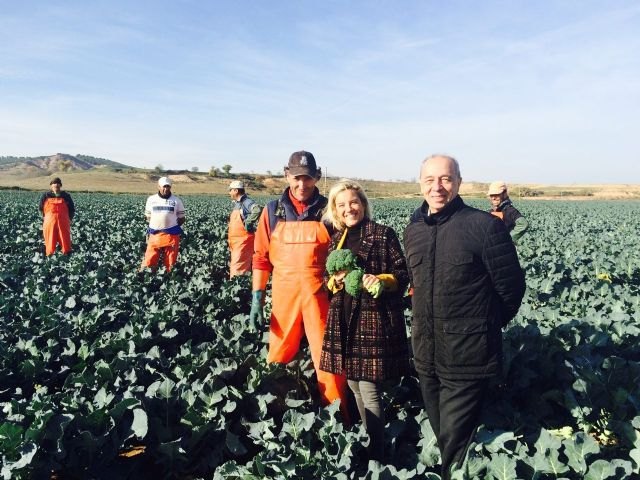 Martínez-Cachá dice que la unión de las huertas de Murcia y Tudela pondrá en valor la excelencia del cultivo de la alcachofa - 1, Foto 1