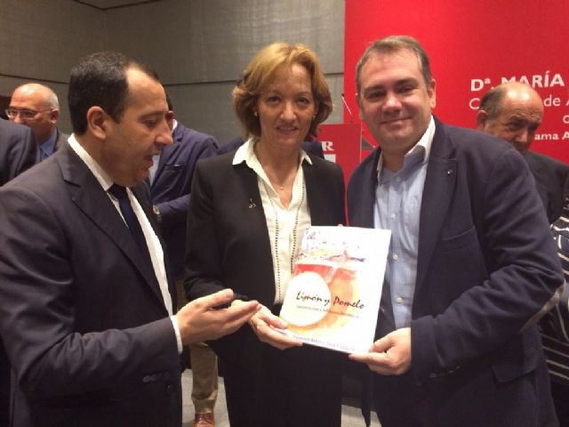 El periodista Francisco Seva presenta su libro con brillante éxito a la Junta de Andalucía - 1, Foto 1